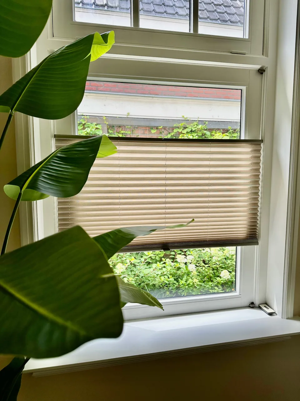 Stijvolle plissés in de woonkamer